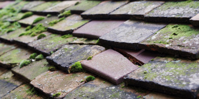 Morville roof repair costs